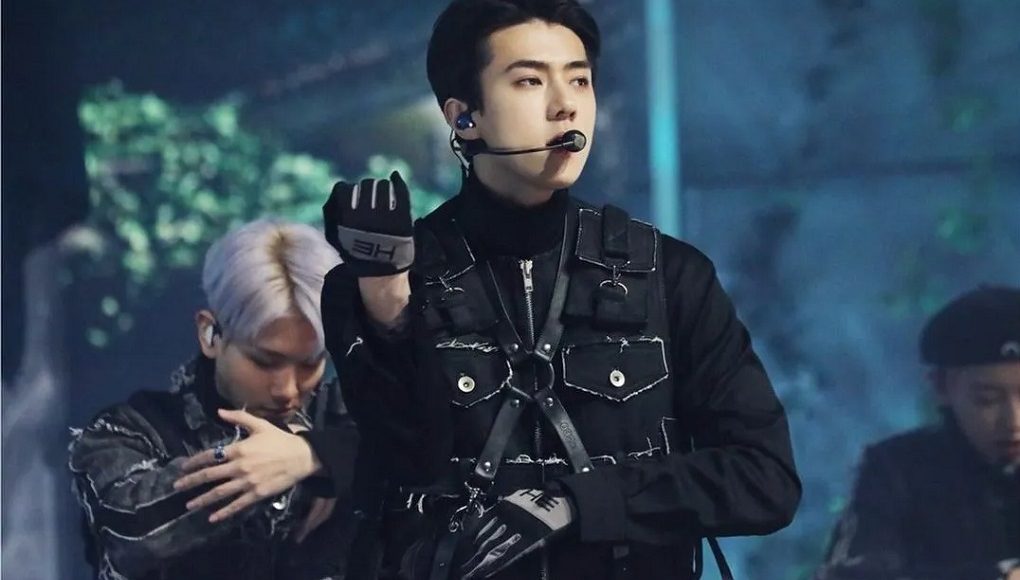 Harness Fashion